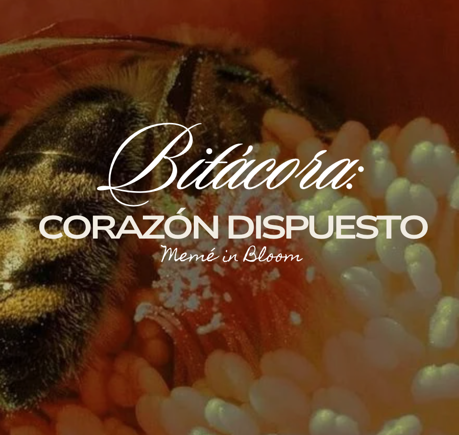 Bitácora: Corazón Dispuesto