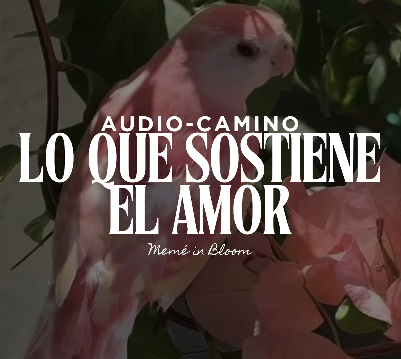 Audio-Camino: Lo Que Sostiene El Amor