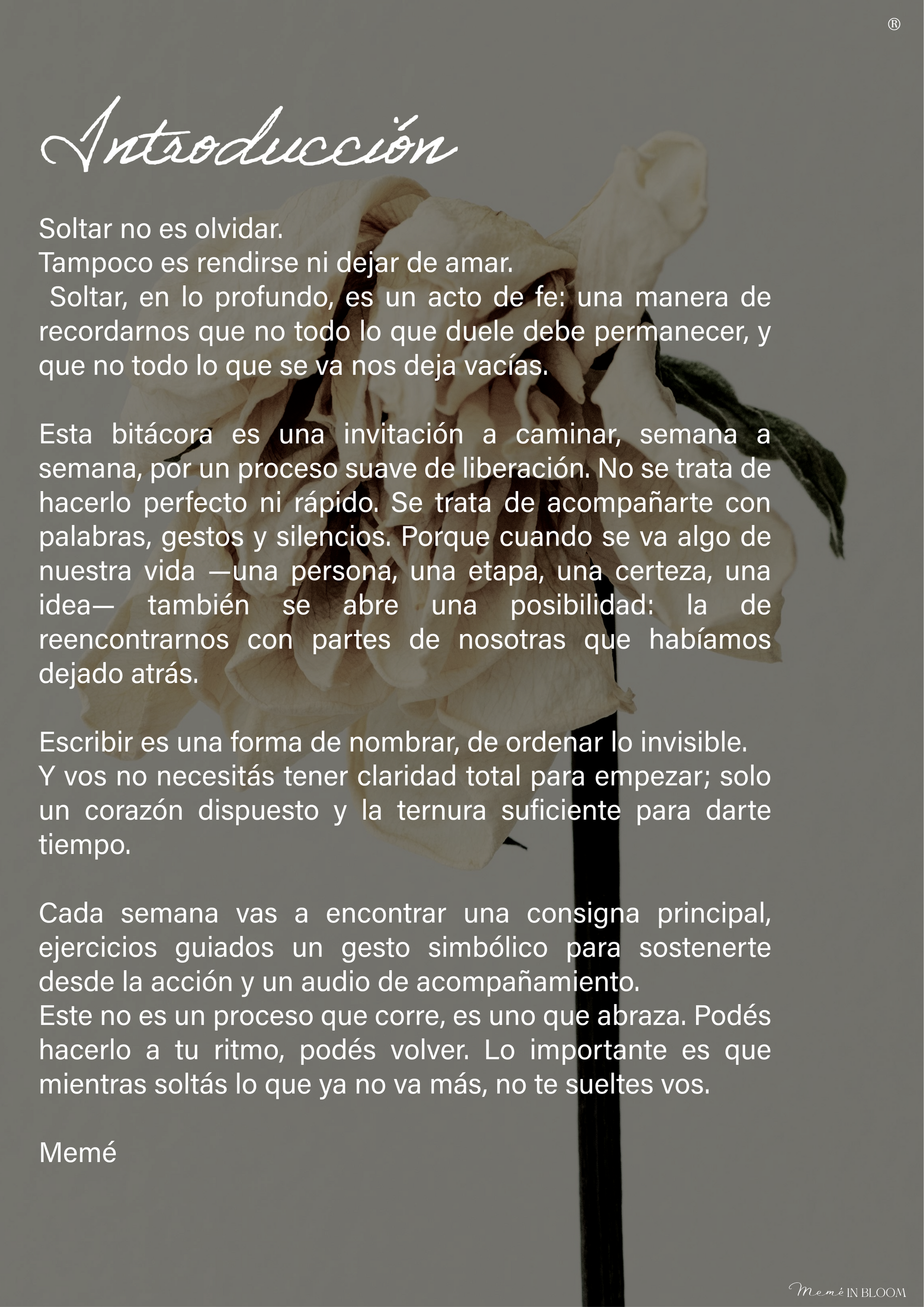 Bitácora: Soltar Para No Perderme