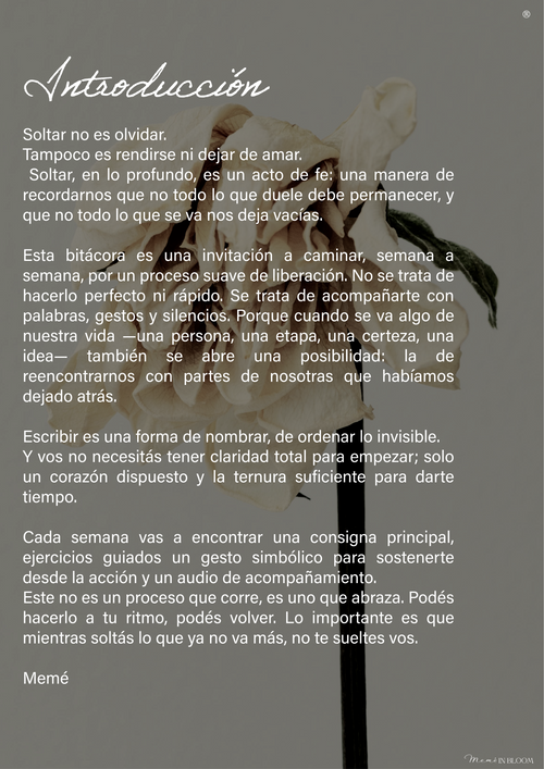 Bitácora: Soltar Para No Perderme