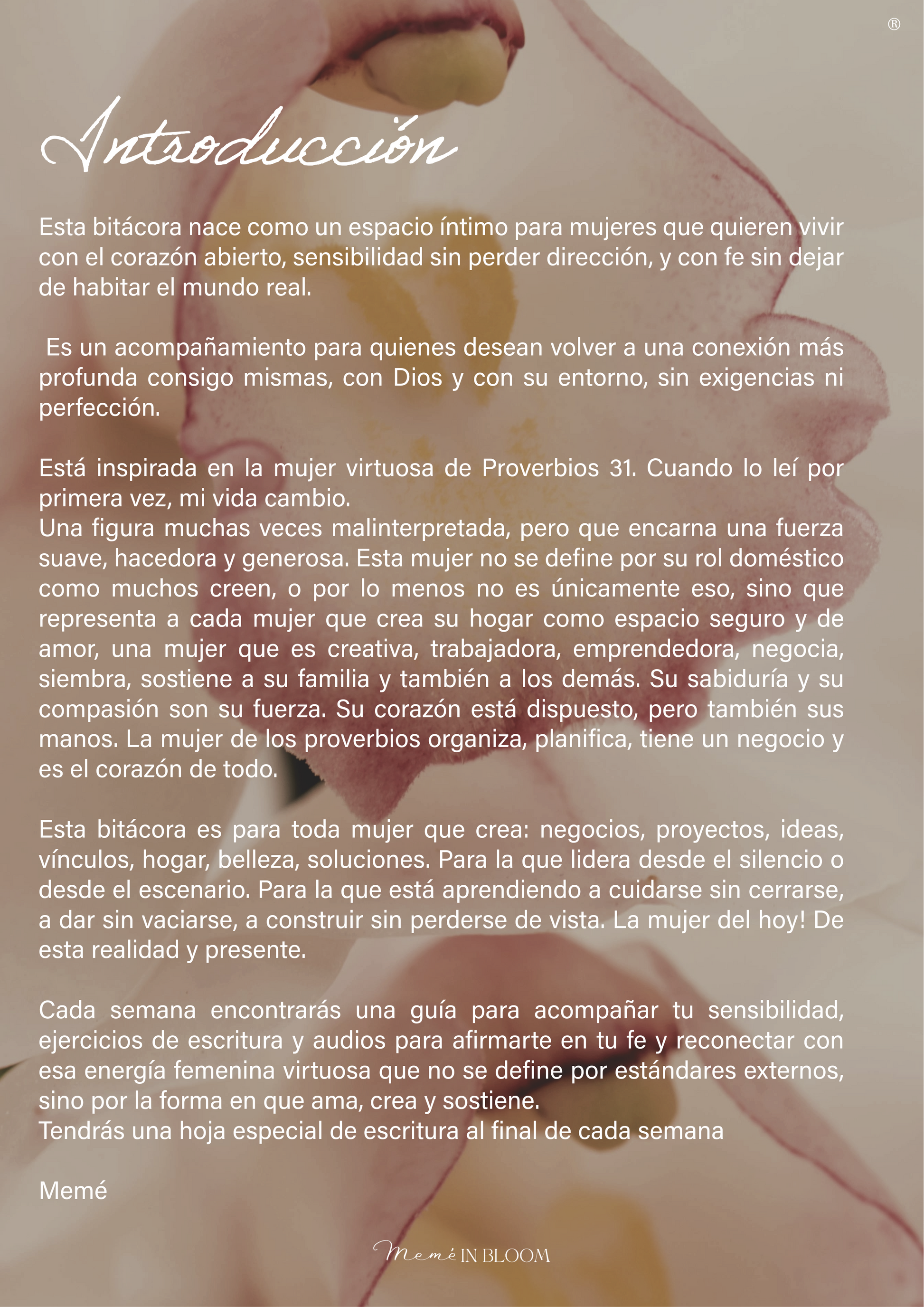 Bitácora: Corazón Dispuesto