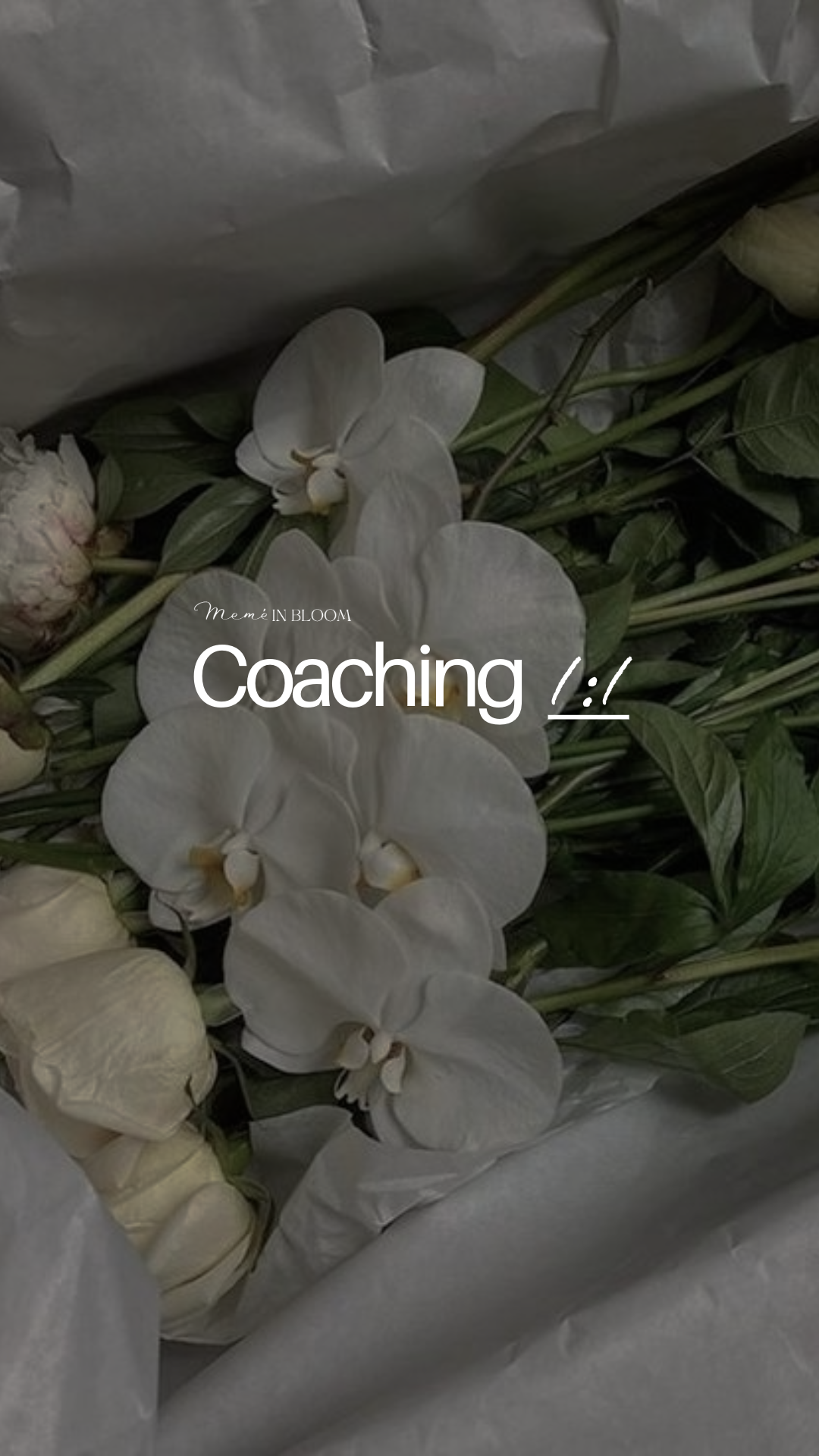 Coaching 1:1
