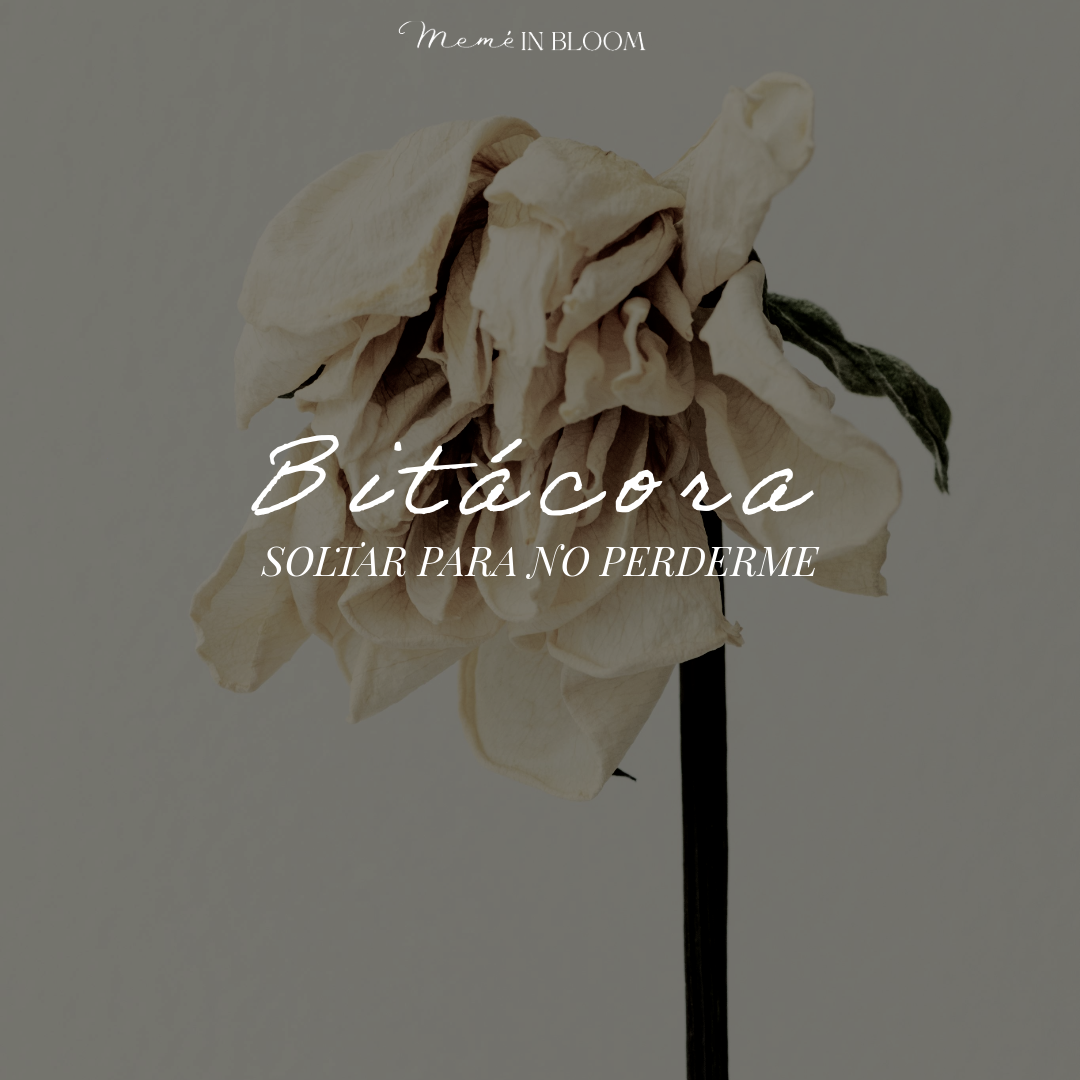 Bitácora: Soltar Para No Perderme